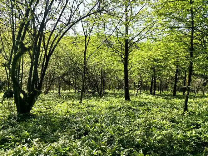 全流程风控管理，保障贸易安全与合规